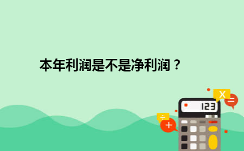 本年利润是不是净利润？